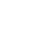 Google White